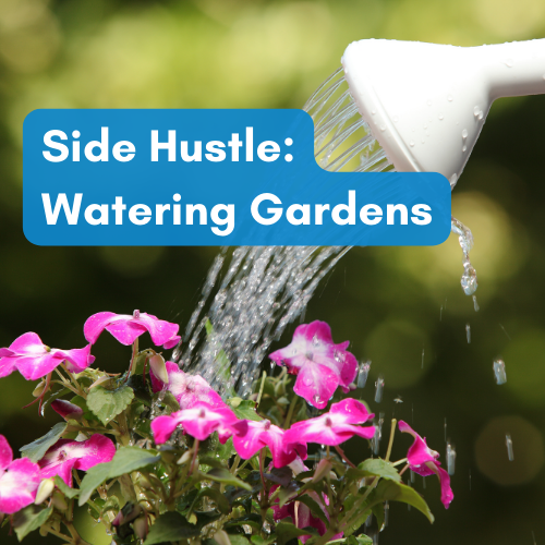 Watering Gardens as a side hustle