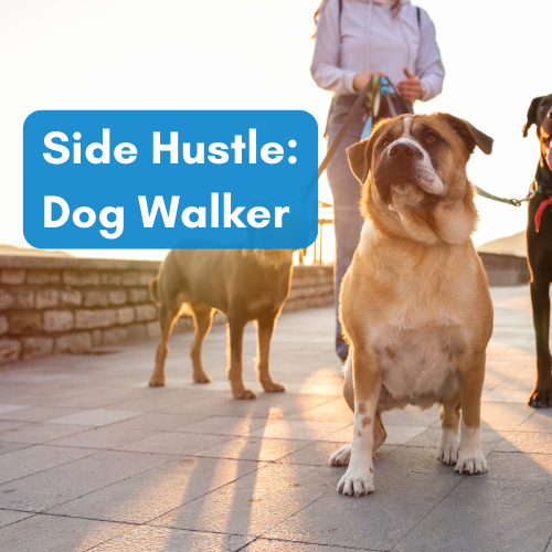 Paws & Profits: How to Build a Successful Dog Walking Business